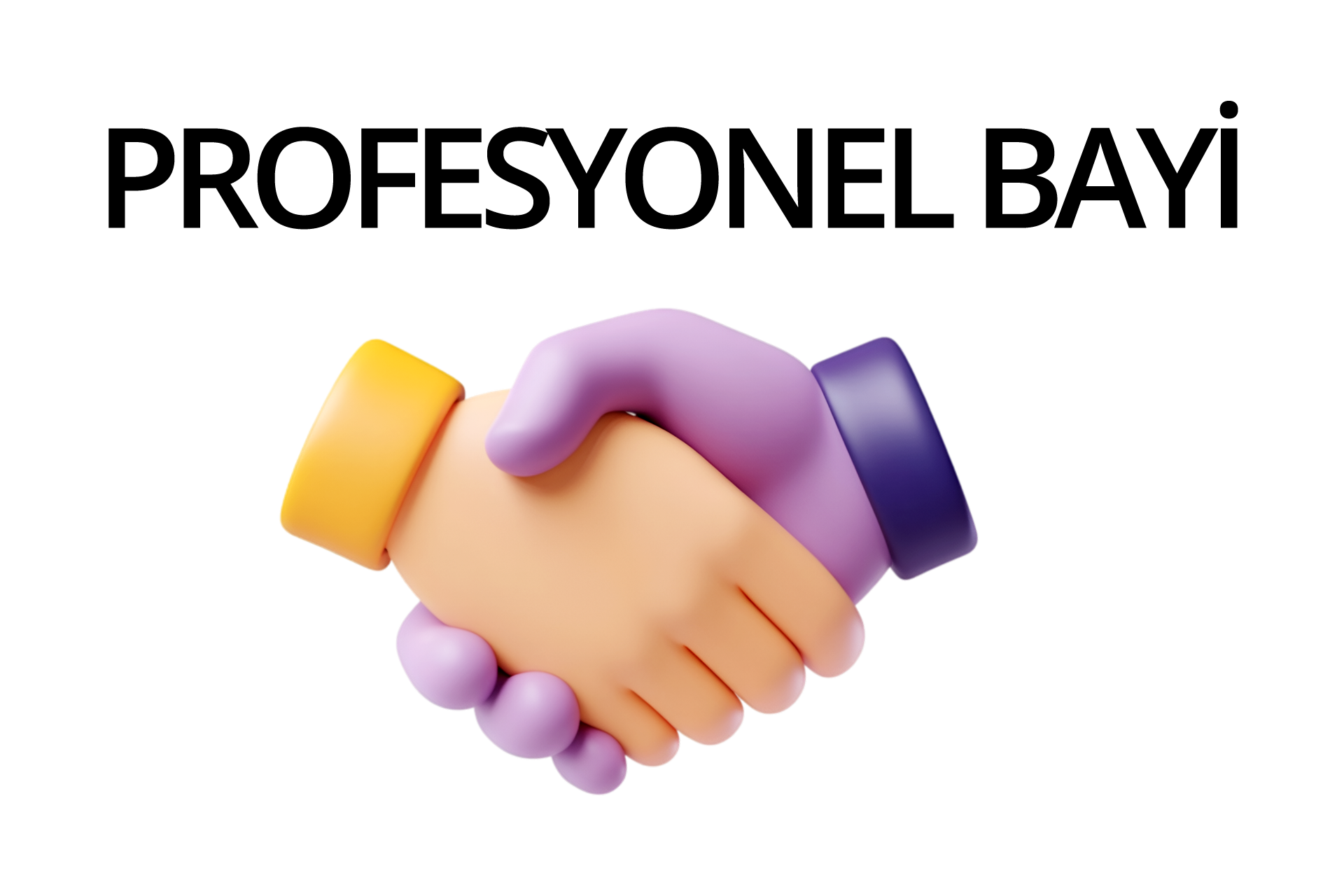 Profesyonel Bayi Paketi